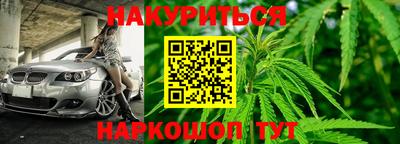 шишки Краснознаменск
