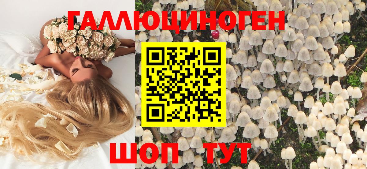 Псилоцибиновые грибы Cubensis  Псилоцибиновые грибы мицелий  Канаш  Вход с VPN 